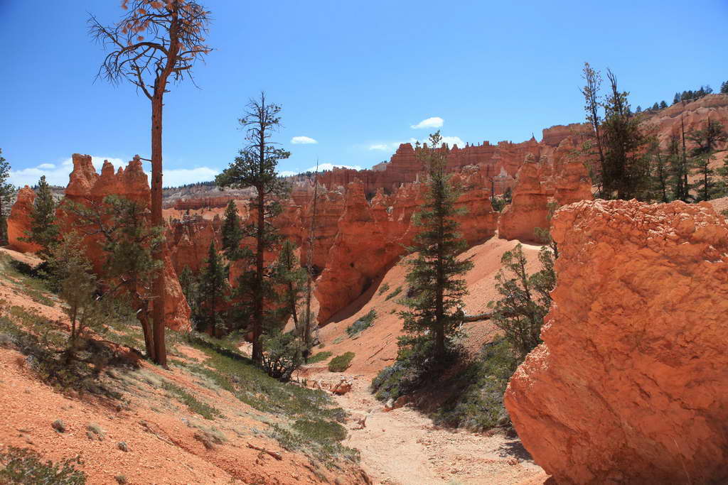 Bryce Canyon NP